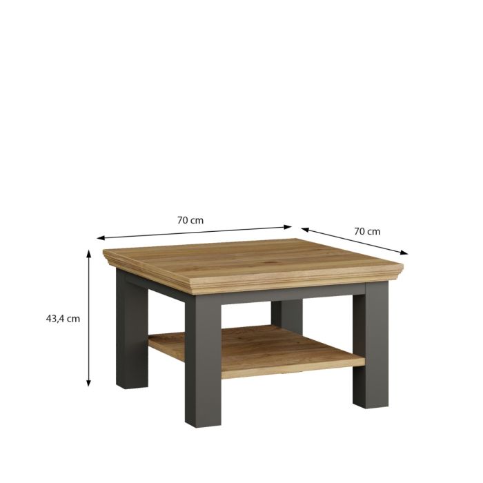 Small Coffee Table with Storage Shelf Wolfram Grey & Mauvella Oak 70x70 cm